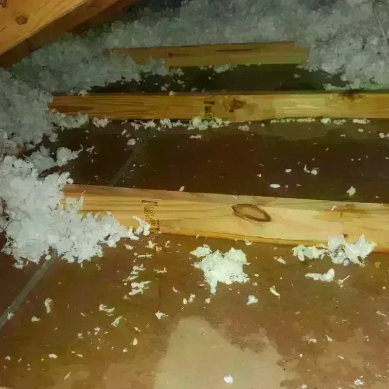 Attic Water Damage in Blaine, WA