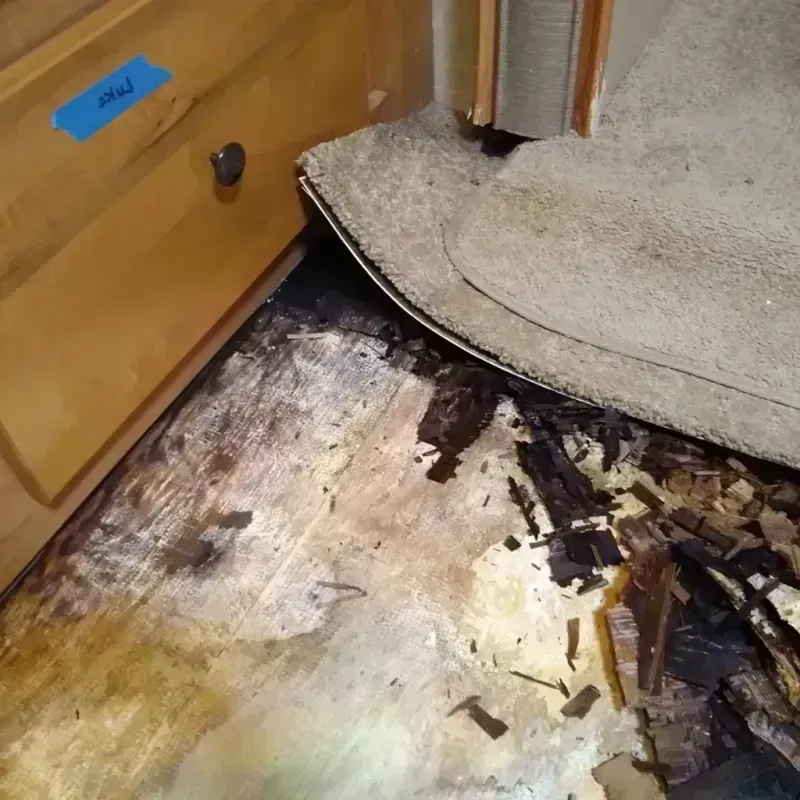 Wood Floor Water Damage in Blaine, WA